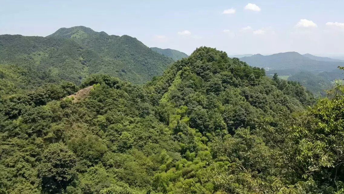 2015年黄俊文师傅带领得意门生到湖南考察学习，验证杨公风水的奥秘